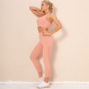 Double-sided Nylon Solid color beautiful Back Yoga suit Y9