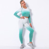 Shark Hanging Dye Sports Quick Dry Tight Yoga Suit Y8