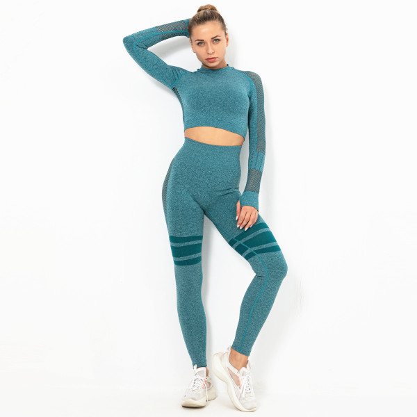 Sports High Waist Seamless Yoga Clothing Set Y29