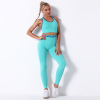 Hip Fitness Yoga Pants Women's Running Sports Bra Y46