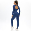 Peach Seamless Knitted Backless High Spring Long Sleeve Yoga Suit Y33