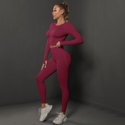 Seamless Knitted Pleated Peach Yoga Suit Sports Y35