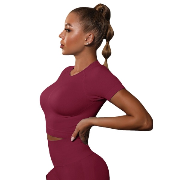 Seamless tight pleated T-shirt 176