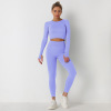 Solid color Seamless Long Sleeve pants Yoga clothes set Y48
