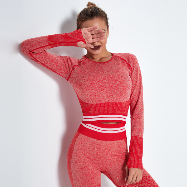 Sports Tight Top Hygroscopic Hollow Seamless Fitness Long Sleeve Y85