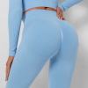 Threaded Peach Hips V Waist Yoga Pants Y121