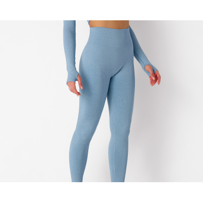 High-end yoga pants 169